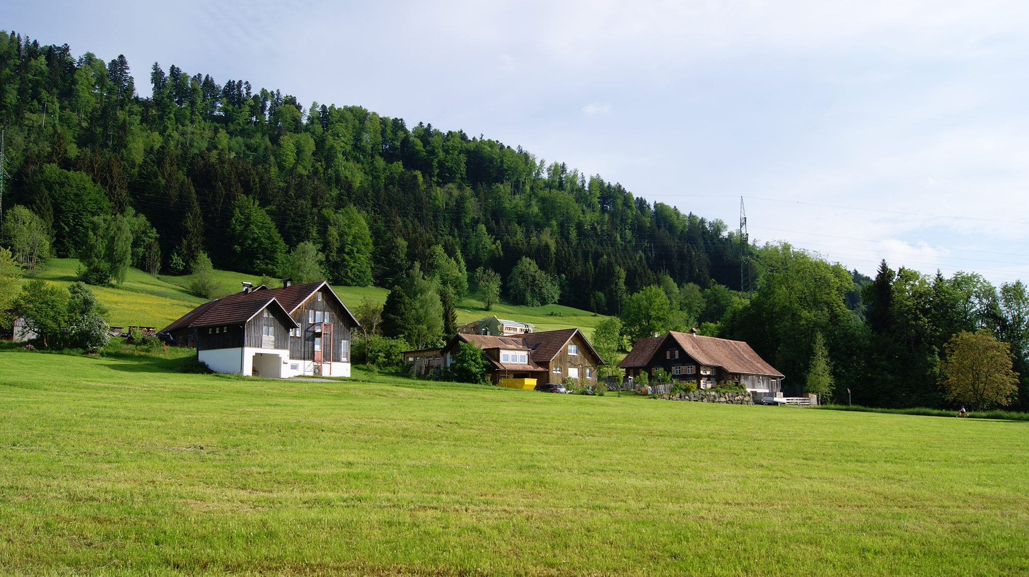 Hauat Dornbirn
